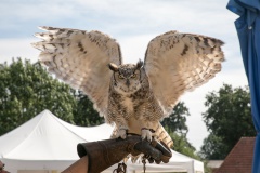 Batenburgse Dag 2018