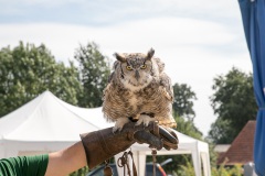 Batenburgse Dag 2018